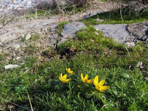 Osh. Spring on Suleiman Mountain. Photo of Sahira Nazarova
